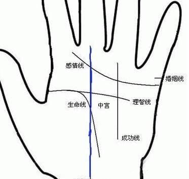 掌纹看手相，如何看手相算命图解(掌纹分析,看手相,掌纹都代表什么)