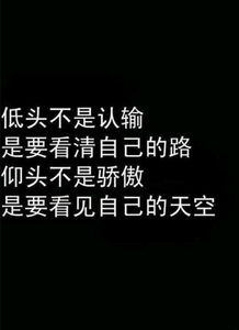 把字体改的好看一点,然后小一点 