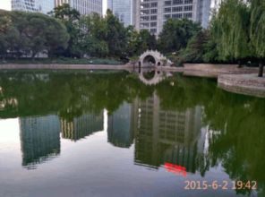 关于北京公园的小诗诗句
