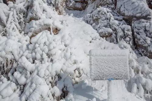 泡温泉玩雪吃火锅,来北川九皇山景区嗨翻这个冬日