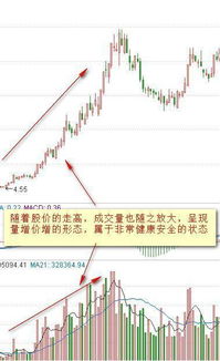 中安消放量下跌为什么?请老师指点。