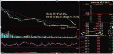 请问 什么软件可以显示大盘过去每一天的换手率