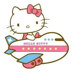 Kitty坐飞机