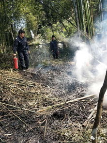 上坟失火是什么预兆