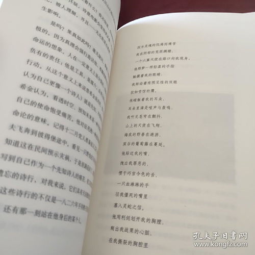 携手雕刻时光作文800字