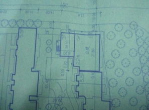 新手入门学公路测量，求大神指点