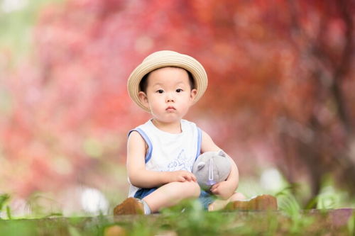 漂亮宝宝外景拍摄