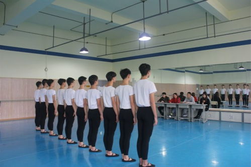 四川音乐学院现代流行舞系