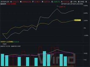 投资收益的指标主要包括哪几个指标以及各个指标的涵义和作用？