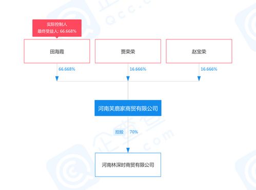 股权结构什么意思?