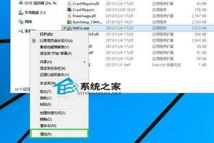 win10显示兼容性文件