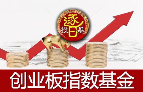 创业板指数基金有哪些