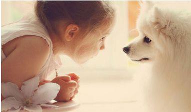 怕孩子过敏,又想培养孩子爱心 孩子到底能养哪些宠物