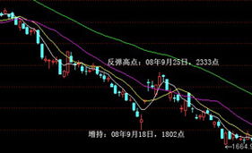 请问汇金增持是什么意思？