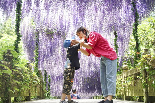 打破世界纪录最长的漂流就在这 桐庐天子地 夏季亲子游的绝佳去处 