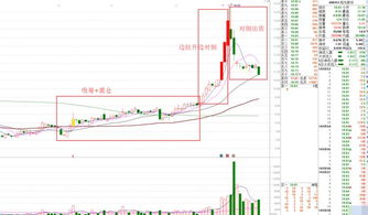 武汉中商，赣能股份，新湖科技哪个走的好些，可以补仓