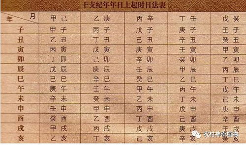 生辰八字 到底是哪八个字 又该如何换算 一文轻松弄清楚