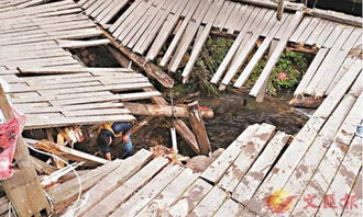 江西井冈山一木板桥塌陷 至少10名香港人受伤 