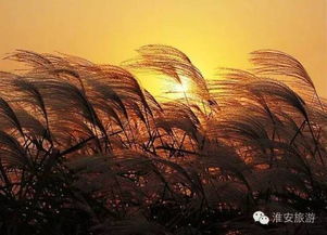 一场雨后,淮安正在换新装