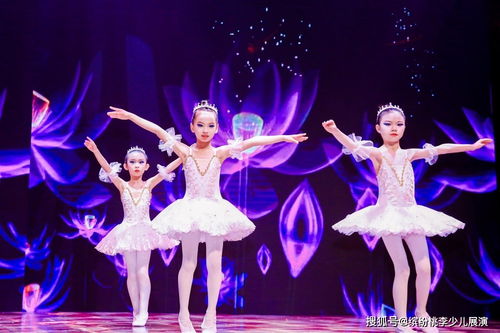 2020广州市小小舞蹈家少儿舞蹈美育大赛圆满举办成功