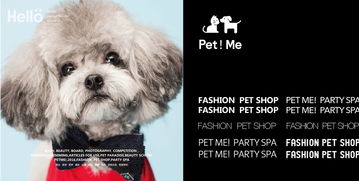 PET ME 飞米宠物生活馆品牌全案设计