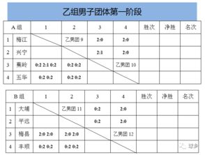 进入羽毛球赛场,看你过关了没 