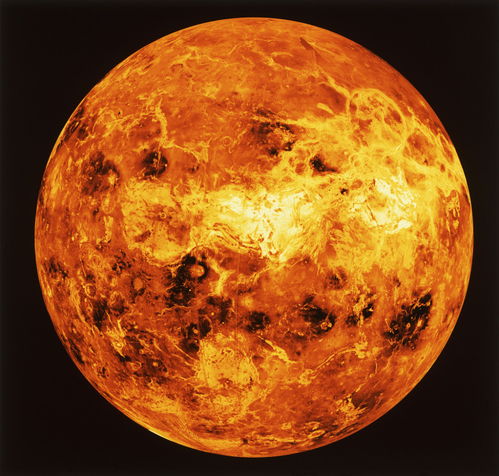 太阳与金星合相 嫁,星盘合盘：太阳和金星相位分析？