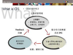 什么是cis？