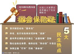 社会保险法是哪一年实施的(社会保险法那年颁布的)