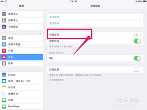 ipad mini怎么设置密码 