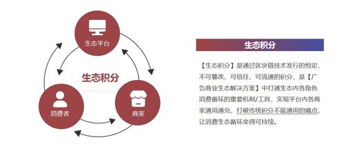 公有链项目有哪些,NOM代币属于公链币吗