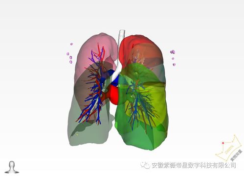 紫微星2025开始进入北京