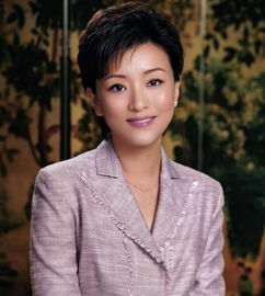 她是央视最红女主持,为中国申奥成功做出重大贡献,然而女强人杨澜也曾婚内出轨 