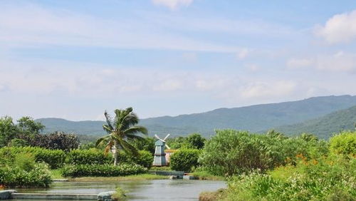 生活在海南农村多幸福,在家就能挣钱,开民宿做旅游,出门就是海