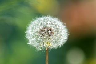 探索空的奥秘——草字写法，空的草字写法怎么写