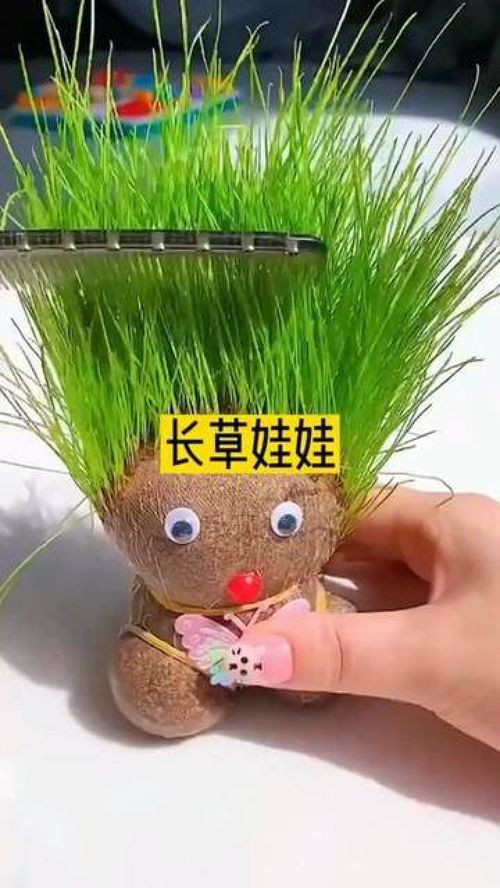 给孩子买的长草娃娃太可爱了,和孩子一起探索植物生长的奥秘吧, 治愈系种子盆栽 长草 