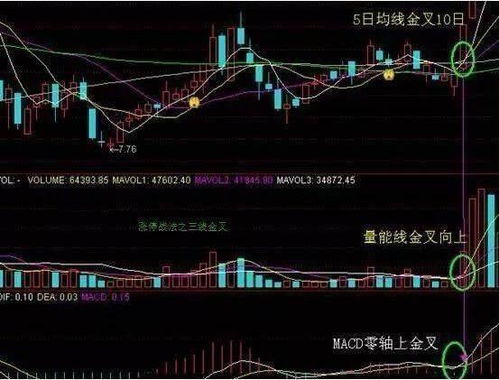 问下，股票均价线和均量线指标分别是什么啊？谢谢了