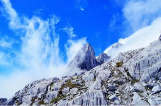 玉龙雪山海拔多少(玉龙雪山各个景点海拔多少米) 