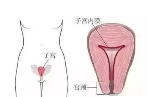 宫内膜增厚原因 子宫内膜增厚是什么原因造成的