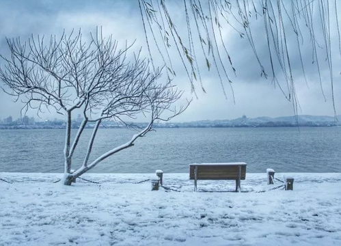 比朋友圈更精彩的40秒独家雪景视频来了 第二轮大雪也即将开始 据说要一直下到... 