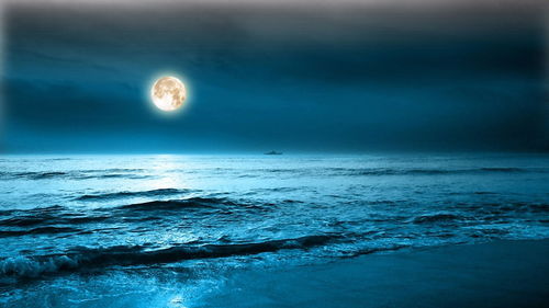 关于海上明月的诗句
