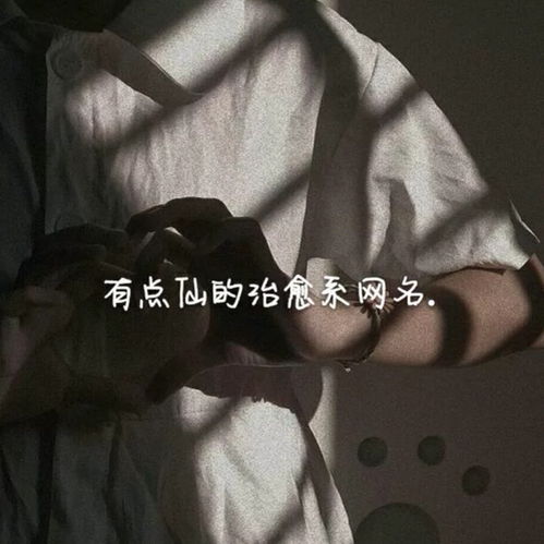 爱在日落前的小众治愈网名