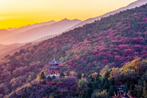 北京有一座4A级的寺庙景点,可与普陀寺齐名,据说求姻缘很灵验