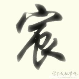 宸字的属性是什么, 