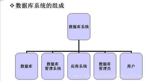 数据库复习题二