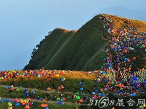 2014泰宁七夕国际帐篷节时间 地点 报名费用