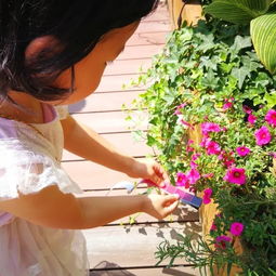 这里不仅有屋顶花园,还能对你喜欢的花花认领挂牌