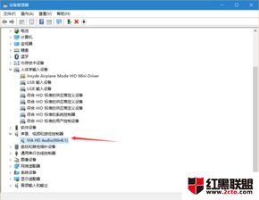 win10系统不显示声音怎么办