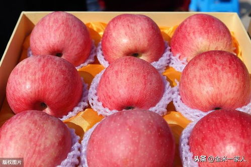 陕西洛川苹果和山东烟台苹果区别在哪 到底哪个产区的更好吃