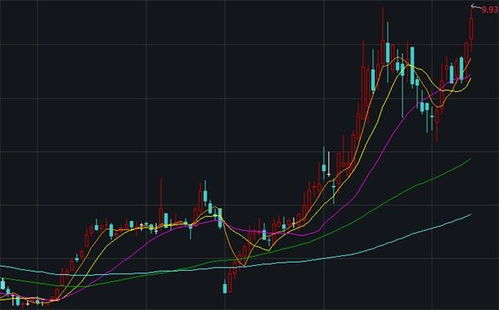 晨光生物股价从发行到现在涨了多少